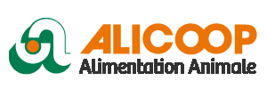 Company name