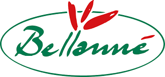 Company name