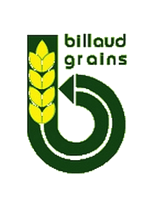 Company name