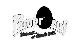Company name