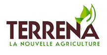 Company name